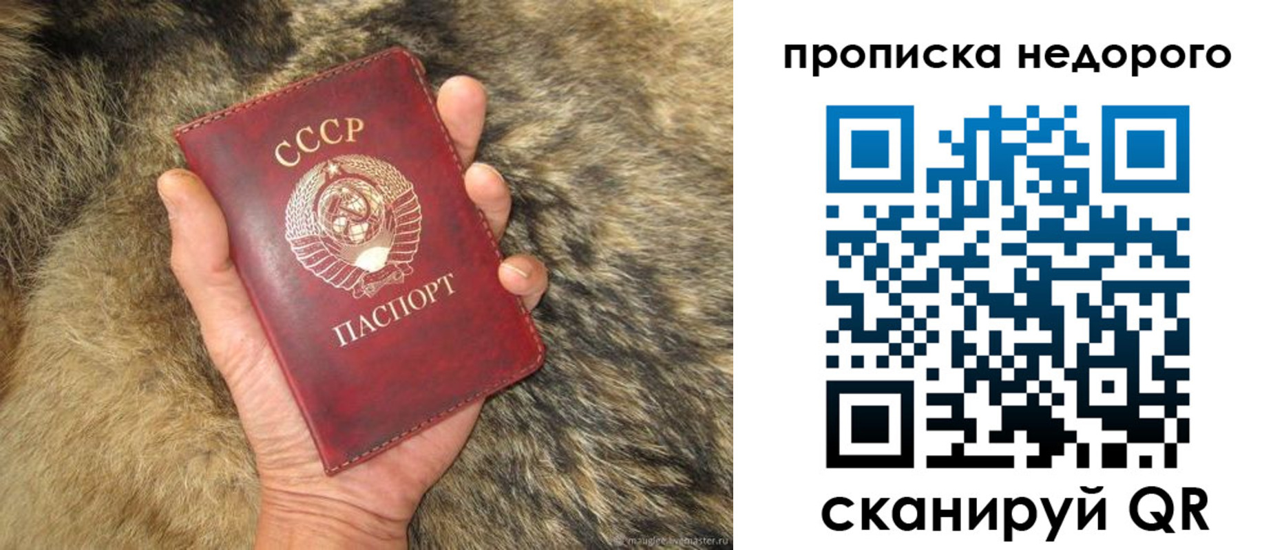 прописка для школы в Кинеле